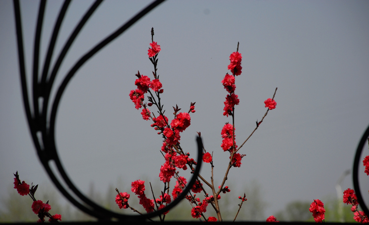 dsc_0117.jpg