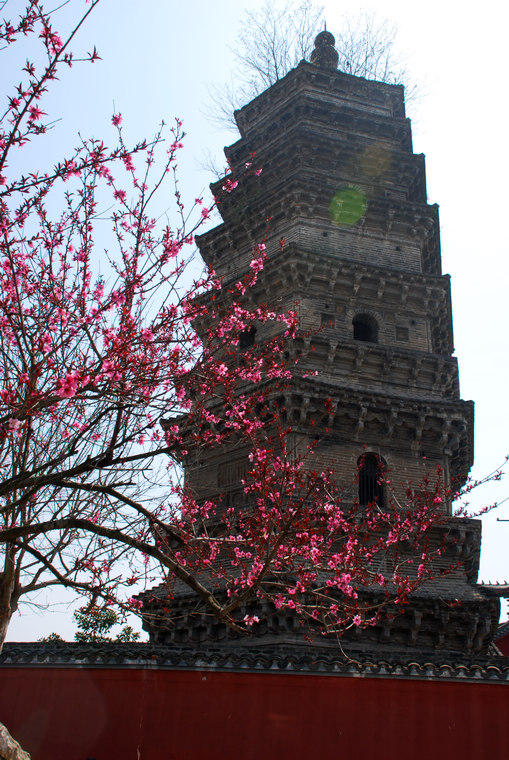 dsc_0123.jpg