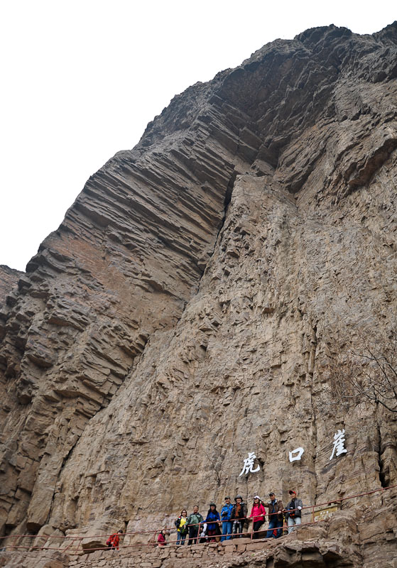 dsc_0120-1.jpg