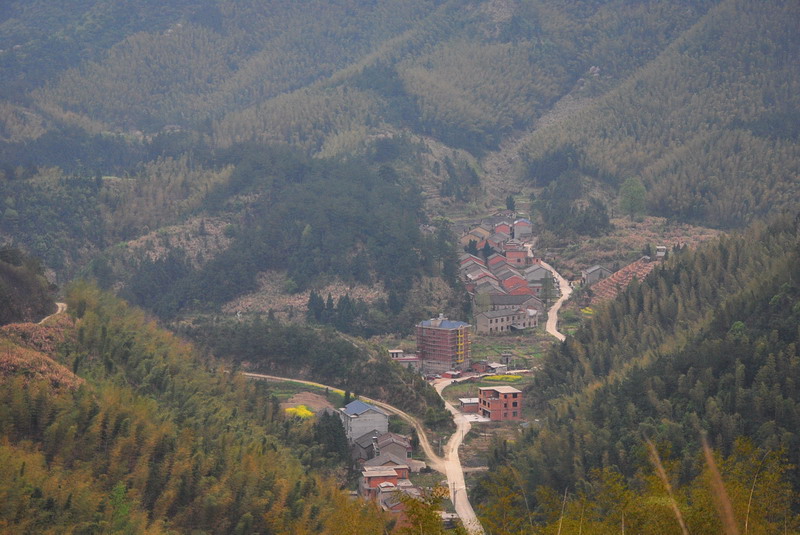 dsc_0002.jpg