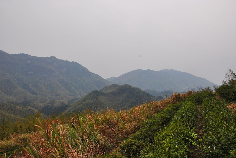 dsc_0003.jpg