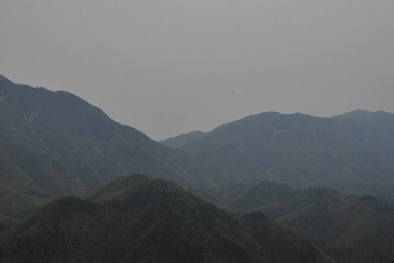dsc_0004.jpg
