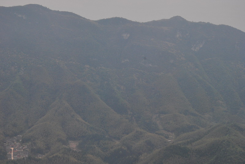 dsc_0038.jpg