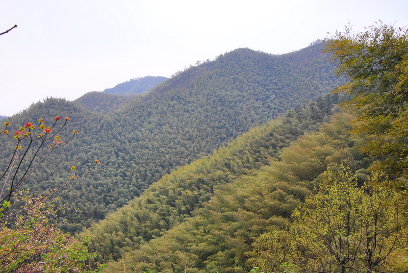 dsc_0076.jpg