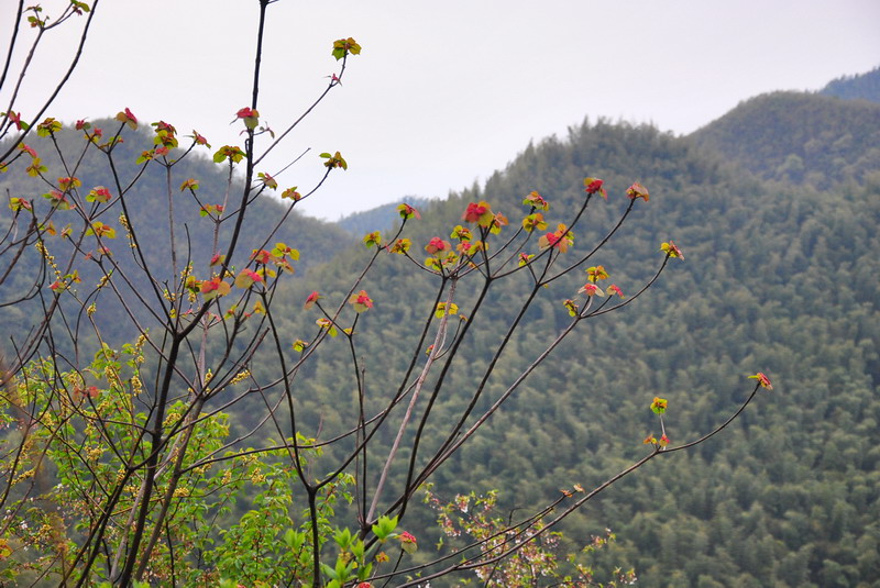 dsc_0077.jpg