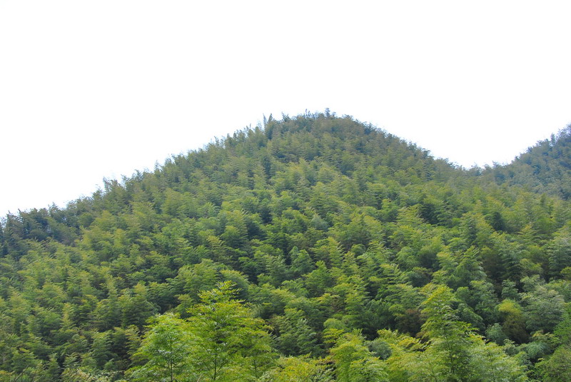 dsc_0080.jpg