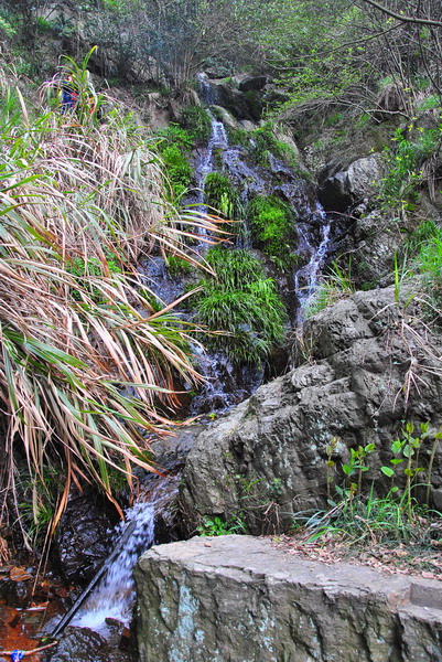 dsc_0103.jpg