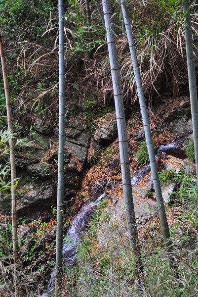 dsc_0133.jpg