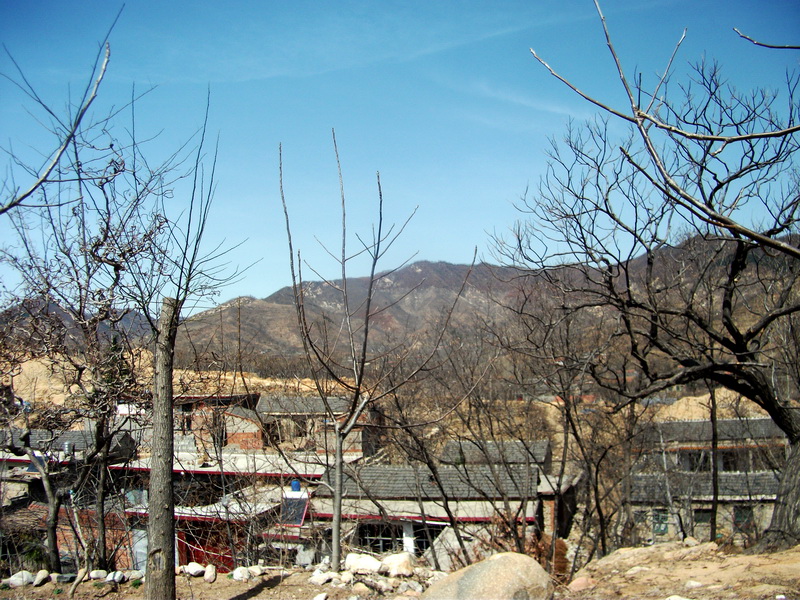dscf0115.jpg