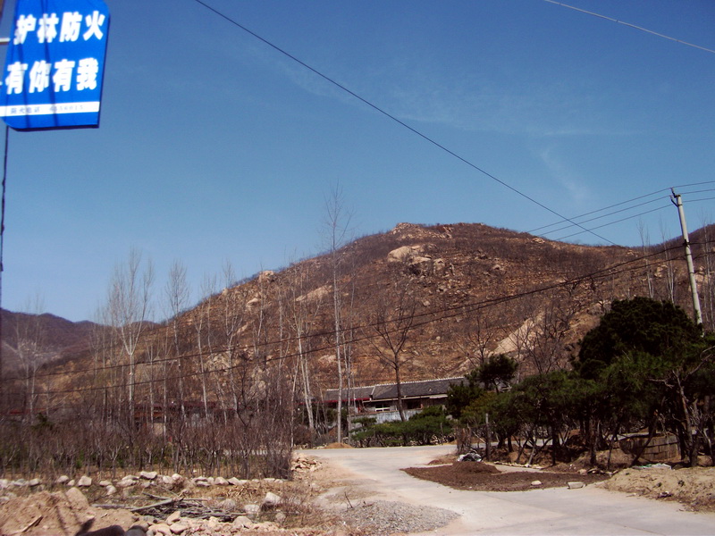 dscf0116.jpg