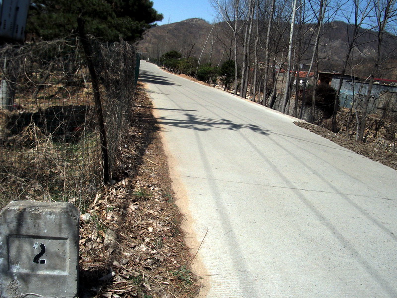 dscf0117.jpg