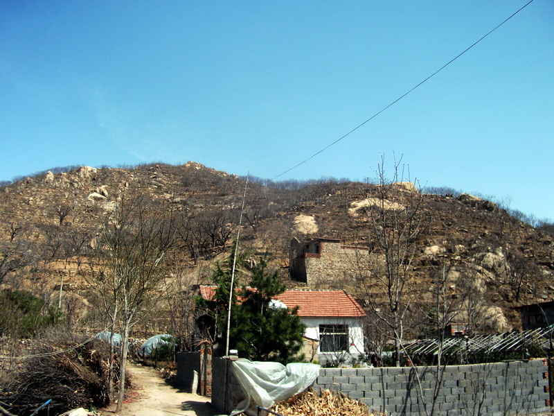 dscf0118.jpg