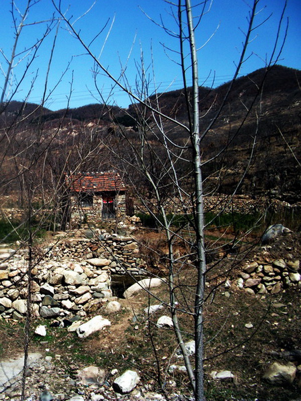 dscf0119.jpg