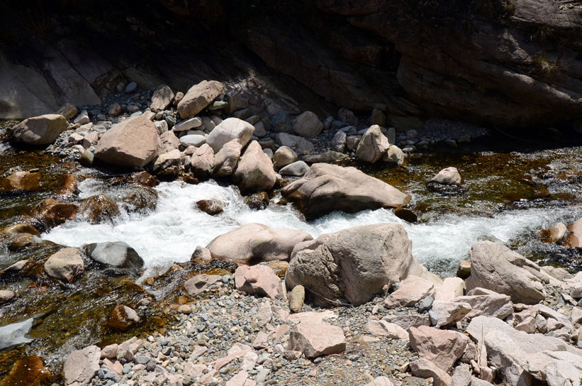 dsc_7085.jpg