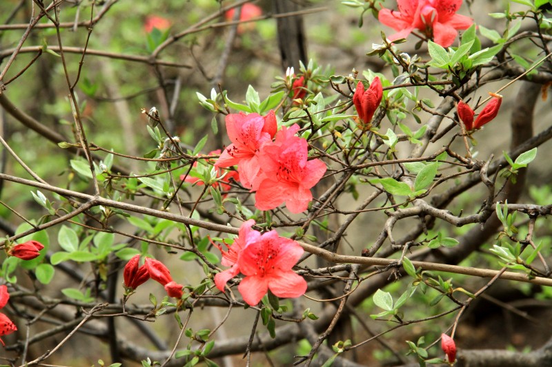 conew_img_4693.jpg