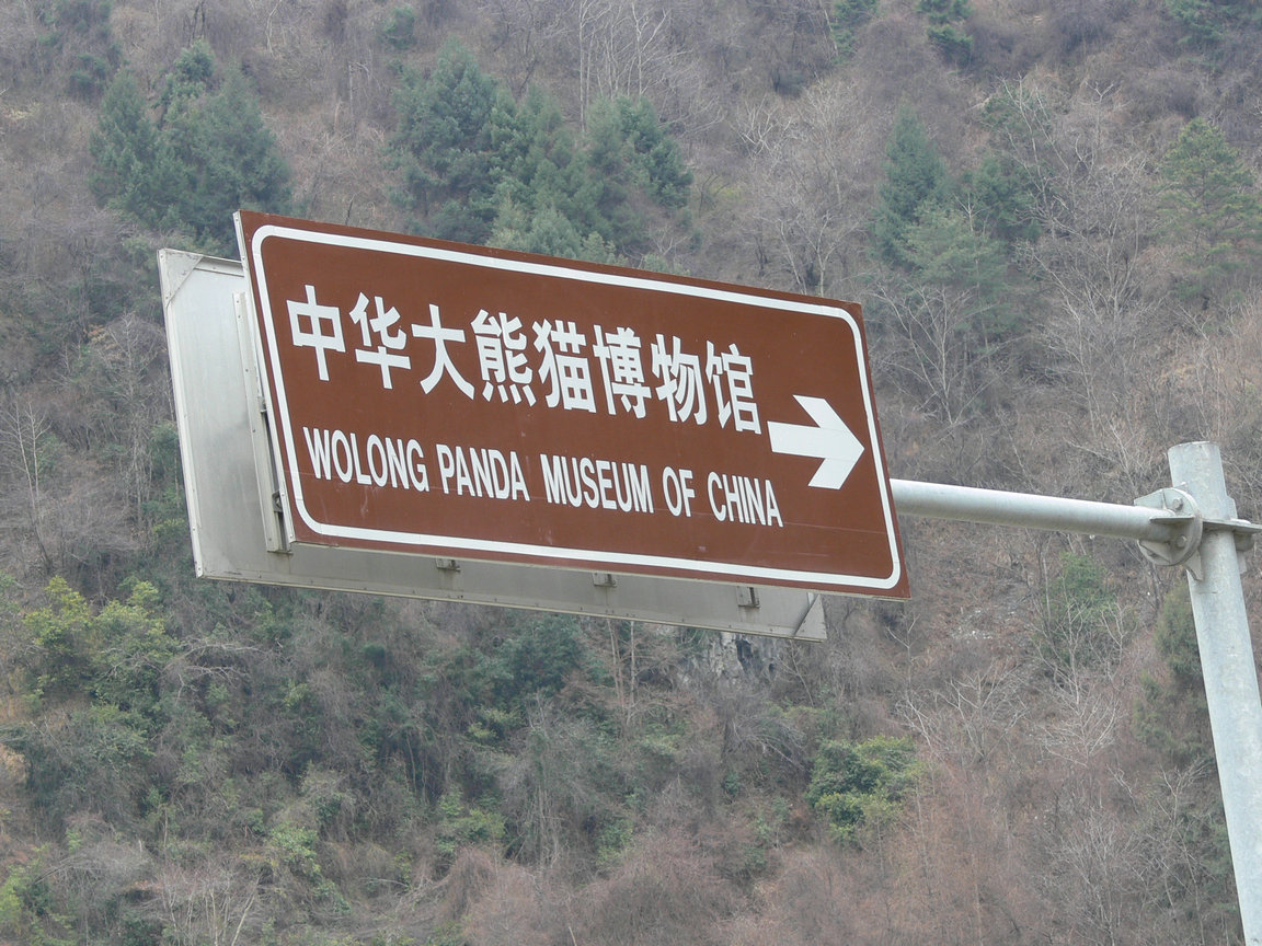 p1120232.jpg