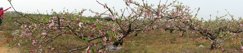 neo_img_dsc01077.jpg