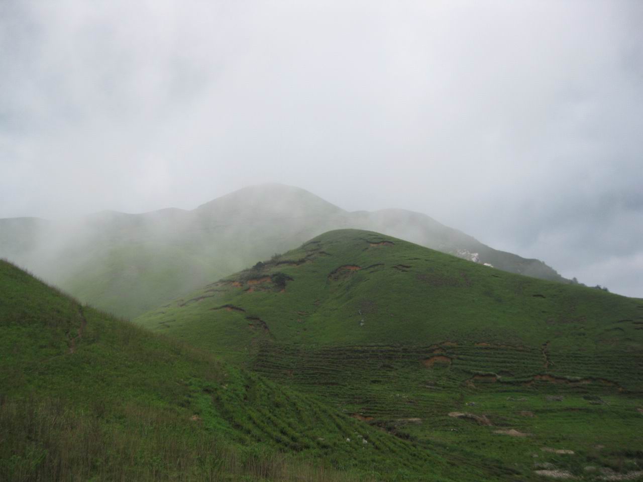 img_3191.jpg