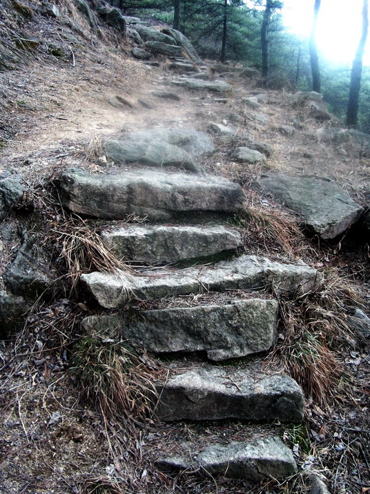 dscf0311.jpg