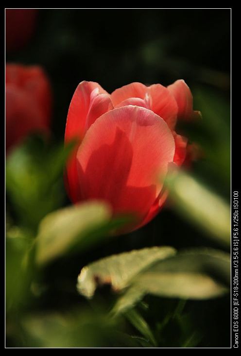 neo_img_img_0619.jpg