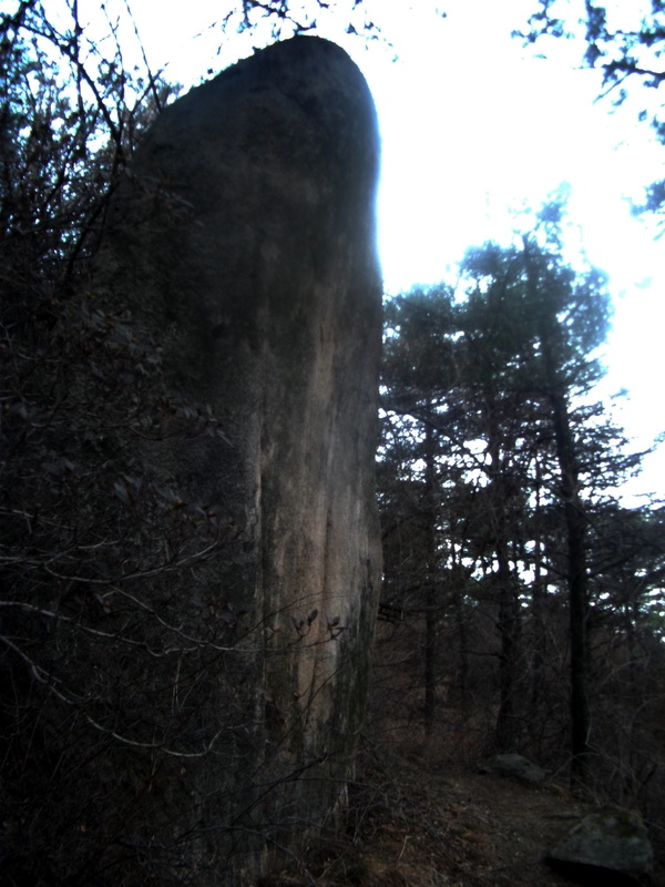 dscf0312.jpg