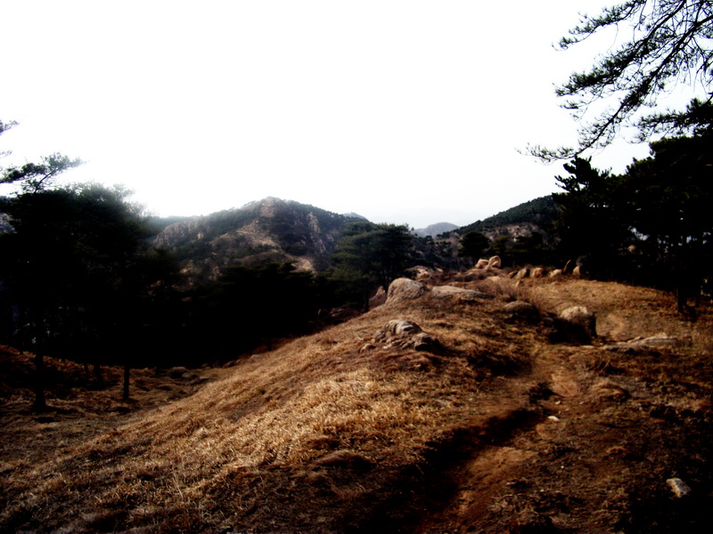 dscf0315.jpg