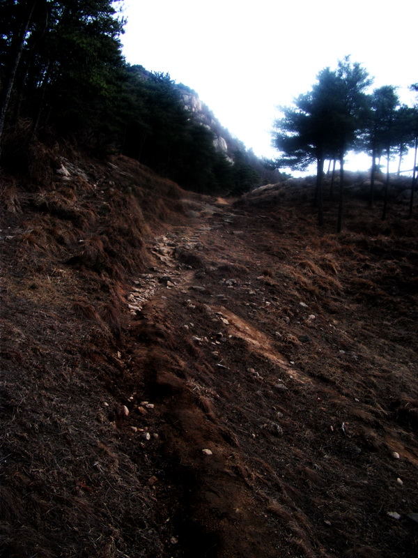 dscf0316.jpg