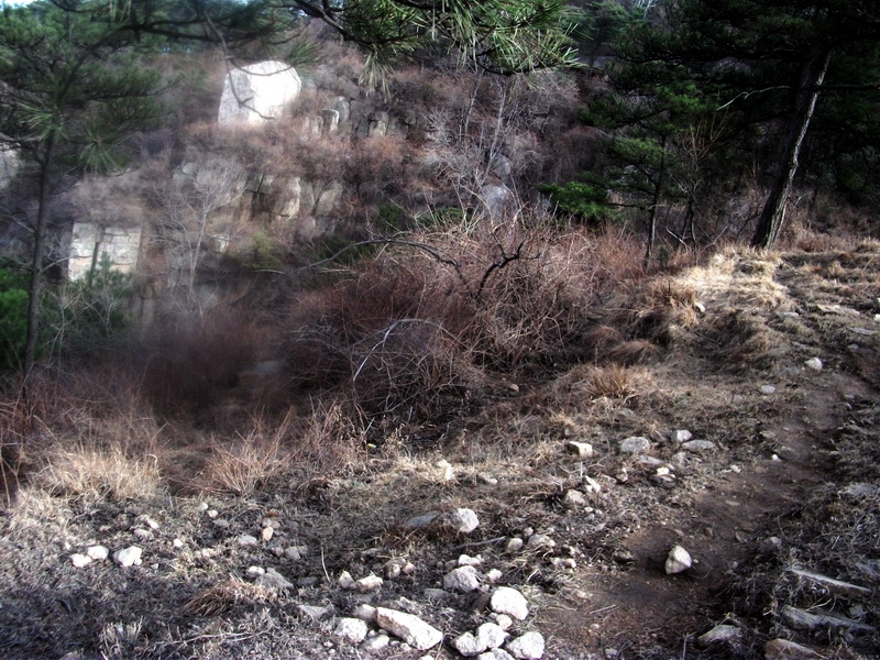dscf0318.jpg