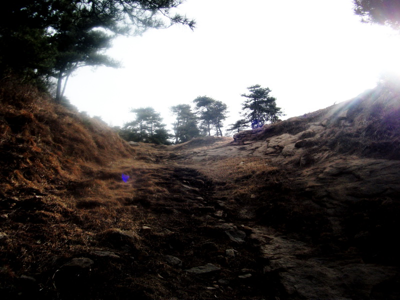 dscf0321.jpg