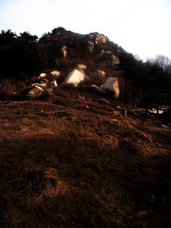 dscf0322.jpg