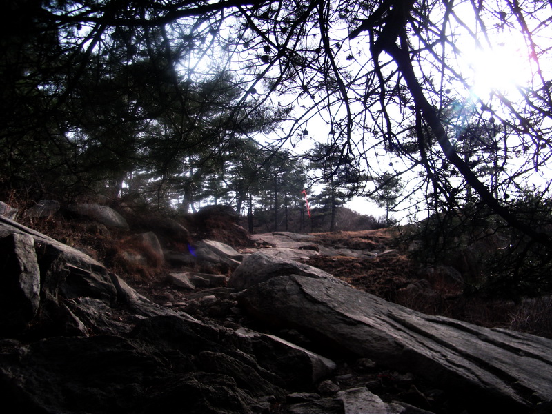 dscf0325.jpg