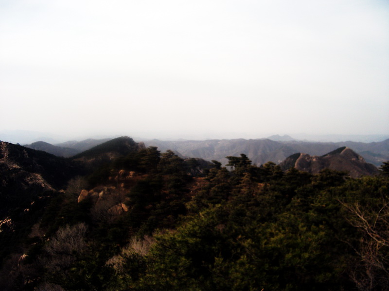 dscf0326.jpg