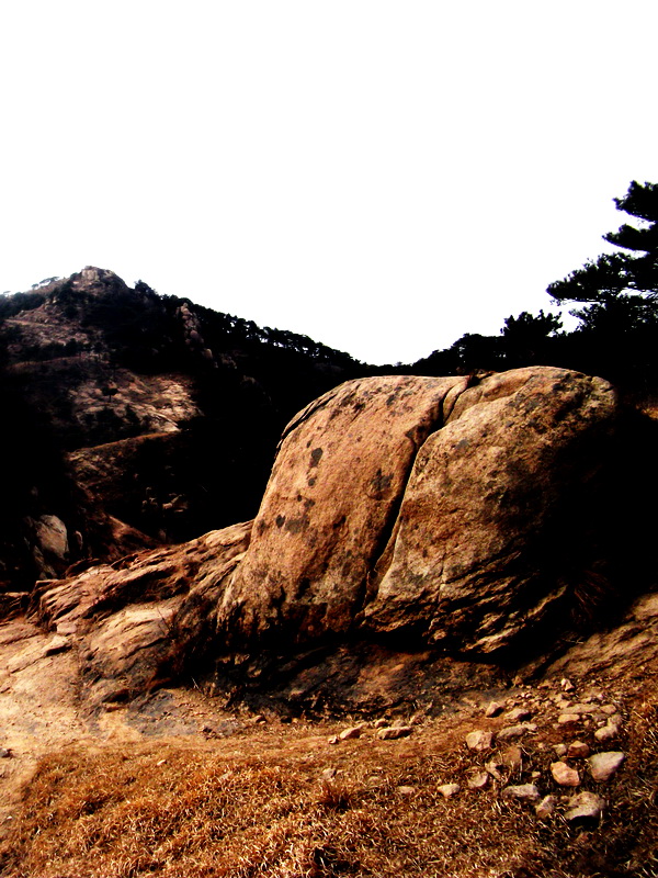 dscf0310.jpg