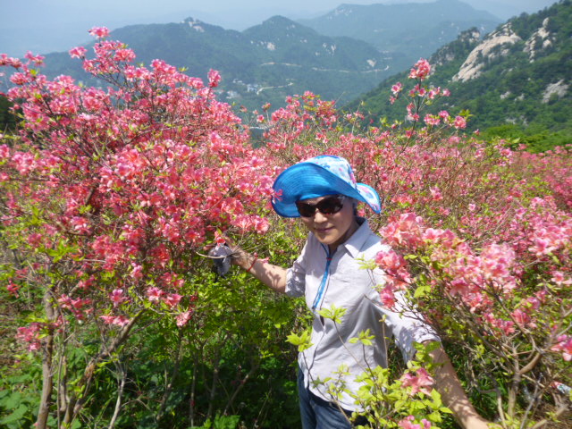 p1020815.jpg