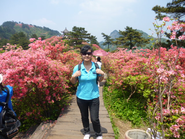 p1020856.jpg