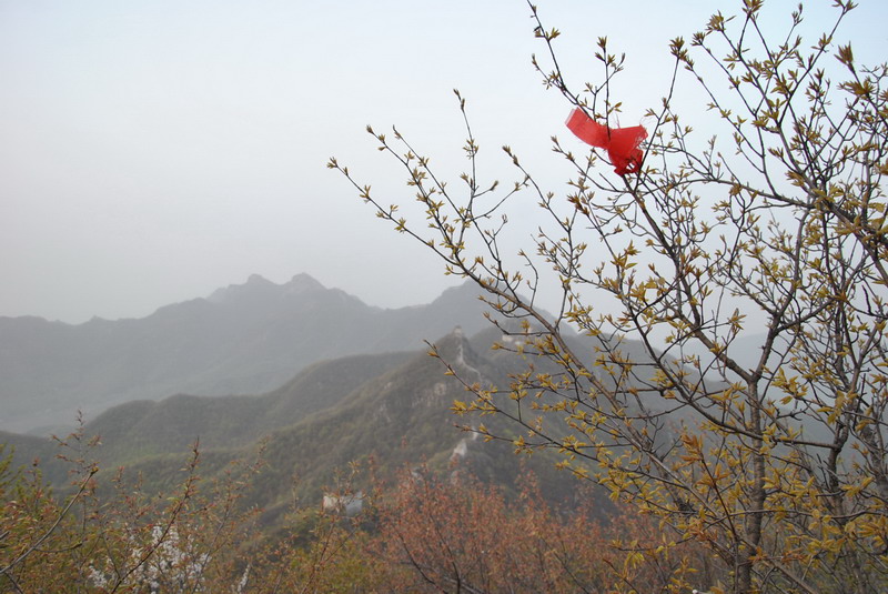 20120429һ۵_049_С.jpg