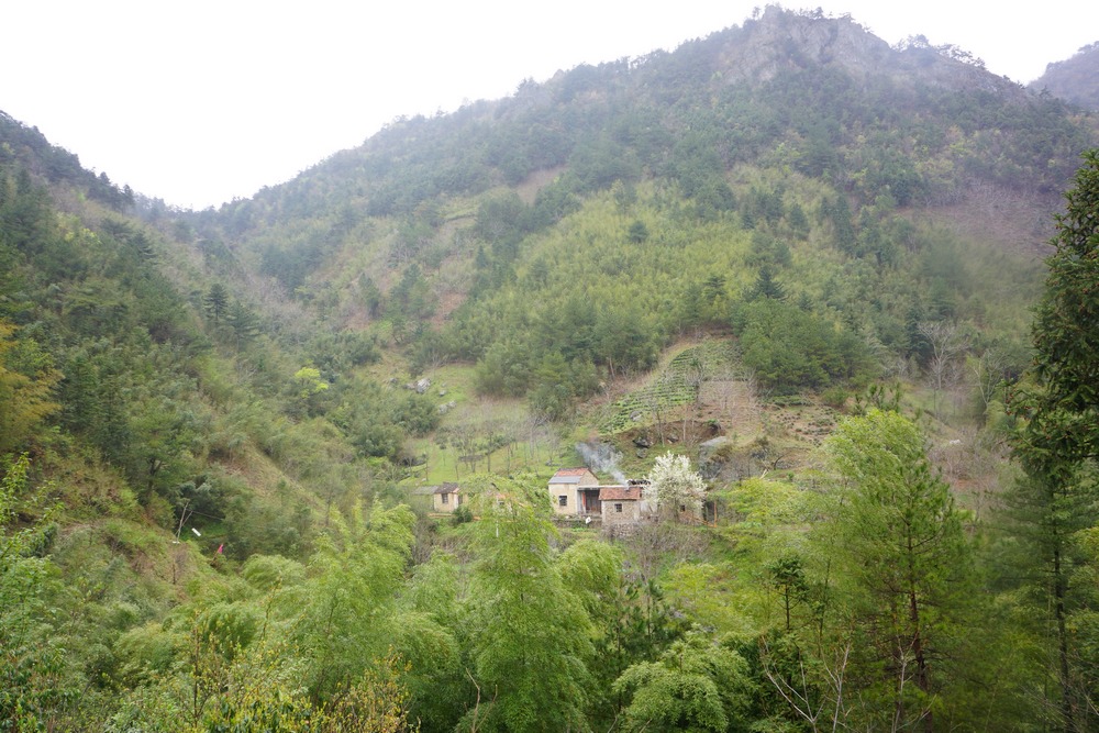 山水画廊1250.jpg
