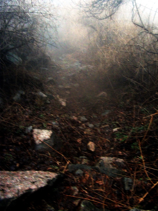 dscf0177.jpg