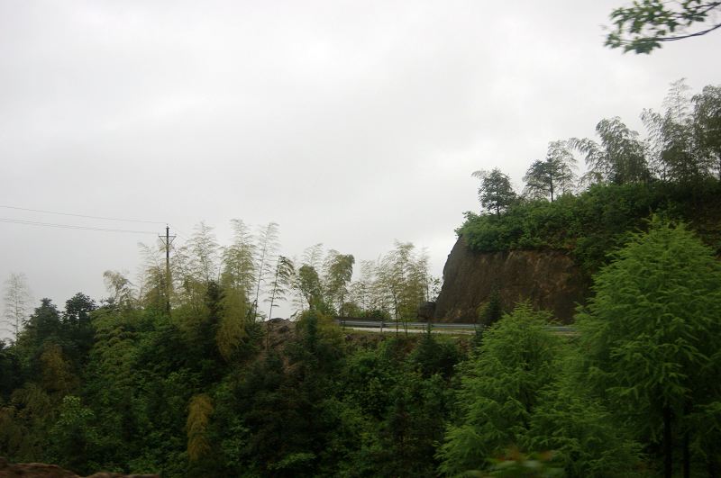 dsc00206.jpg