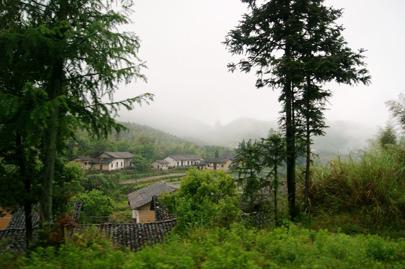 dsc00221.jpg