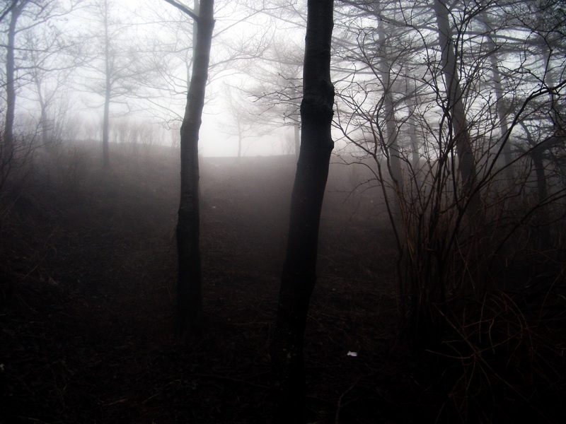 dscf0180.jpg