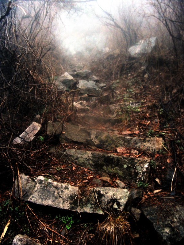 dscf0176.jpg