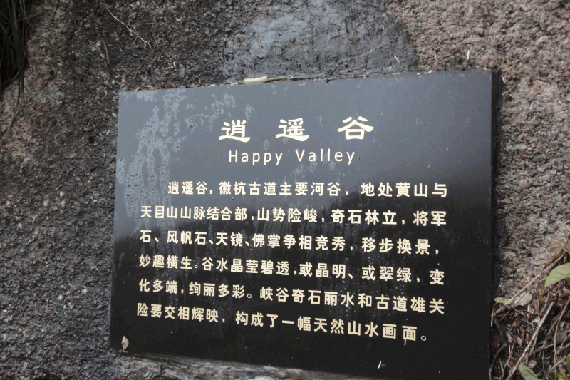 dsc09255.gif