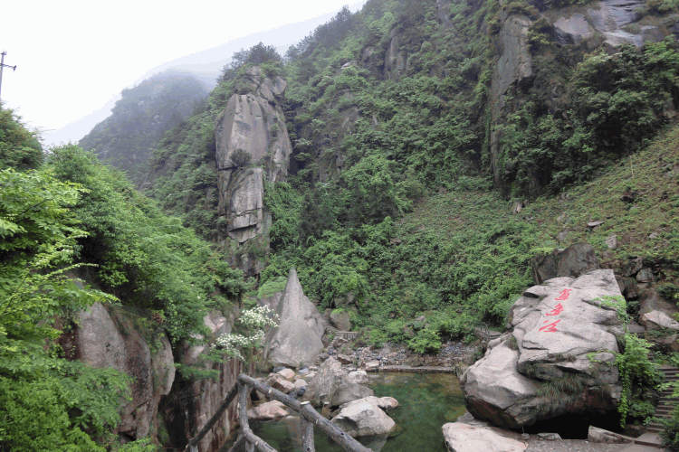 dsc09256.gif
