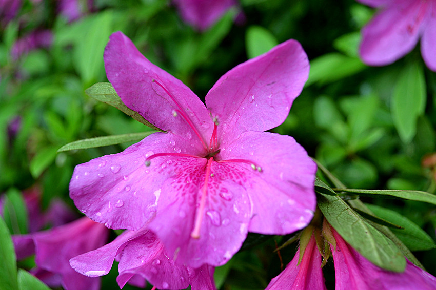 Ƭ0429 .jpg