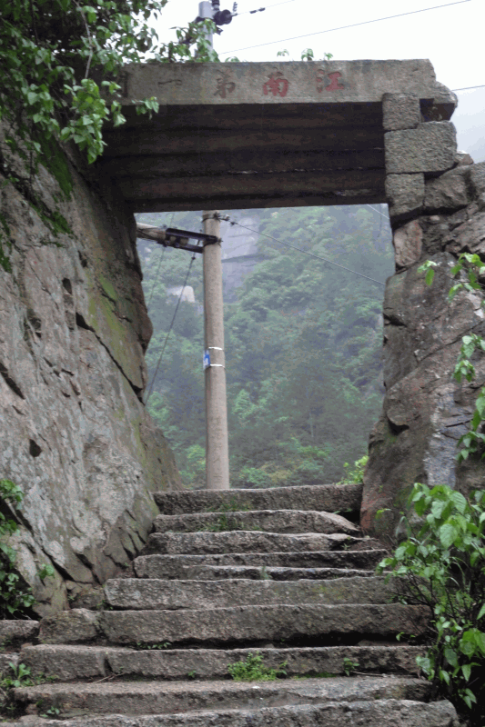 dsc09254.gif