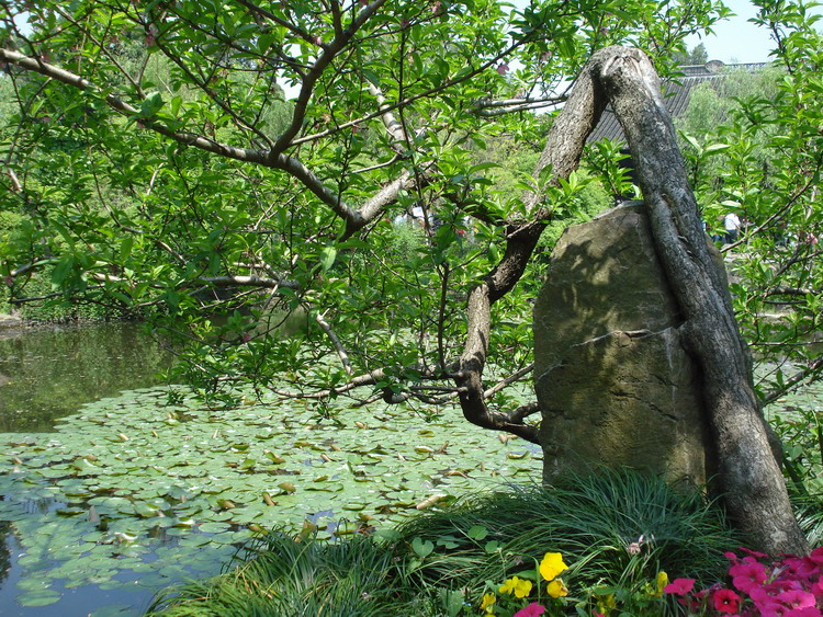 dsc08555.jpg