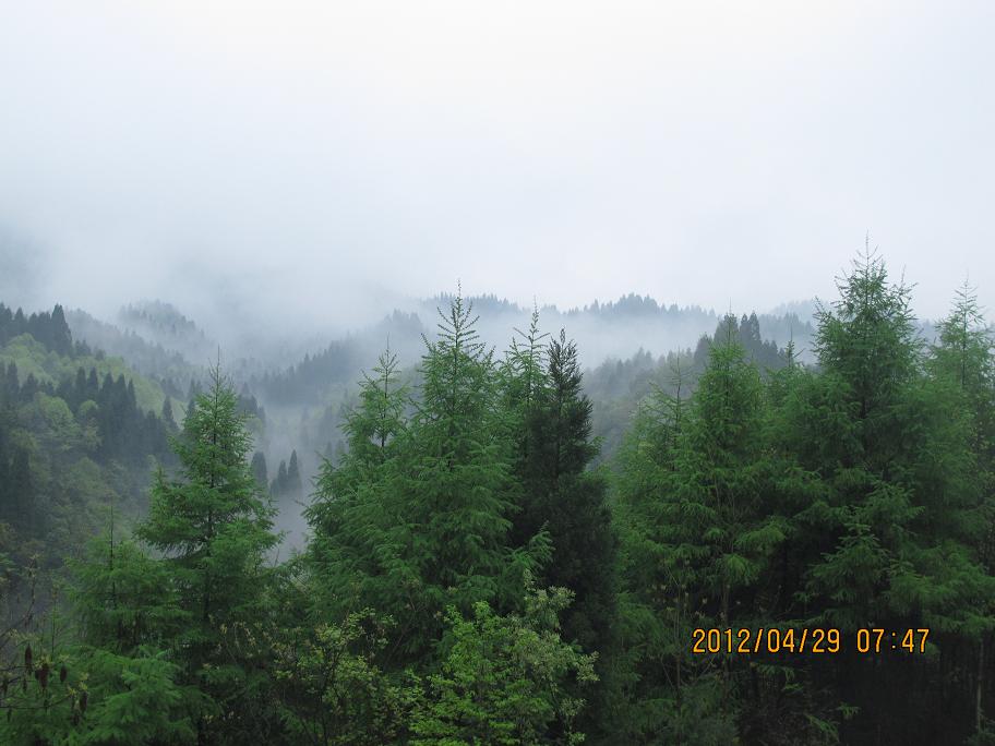 img_5404.jpg