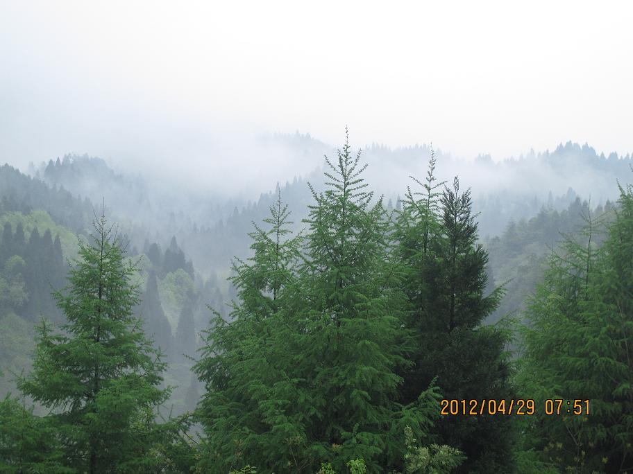 img_5409.jpg