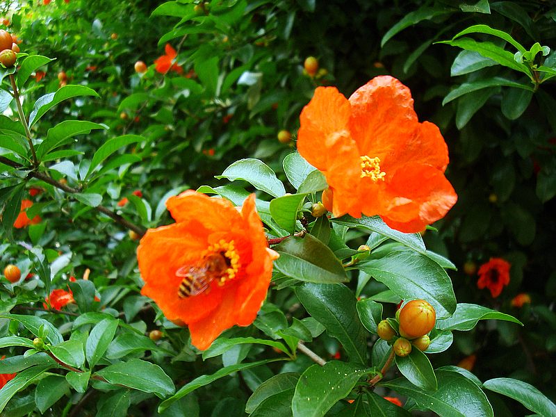 dsc09368.jpg